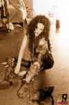 Julie Strain
