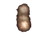 click for full size image in pop-up window